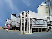 tnp